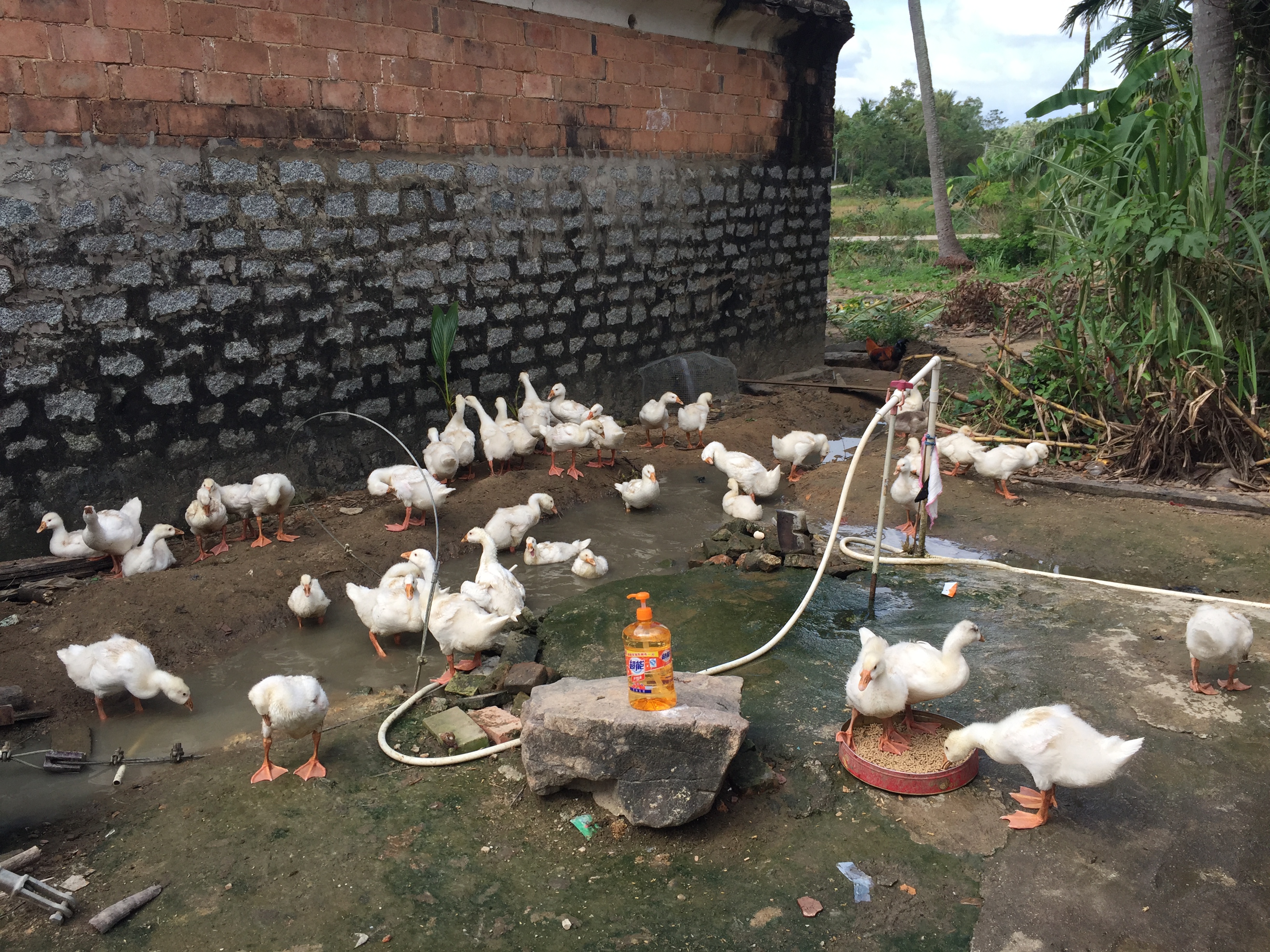 教育与心理学院持续推进精准扶贫工作