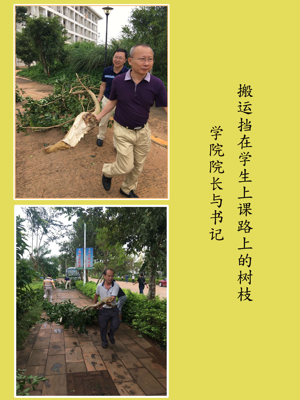 教育与心理学院开展灾后卫生清理工作