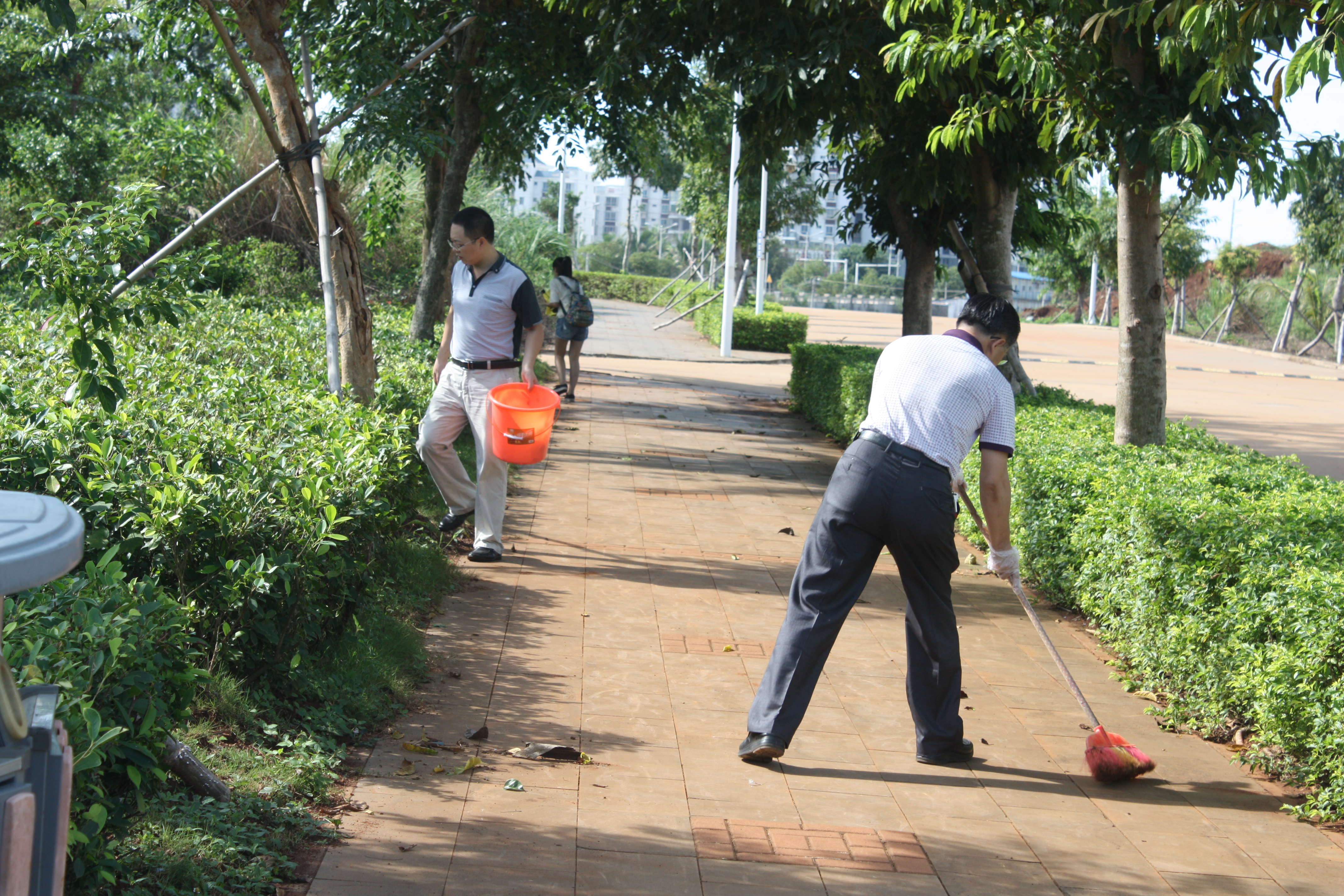 我院组织师生清理桂林洋校区环境和办公室卫生