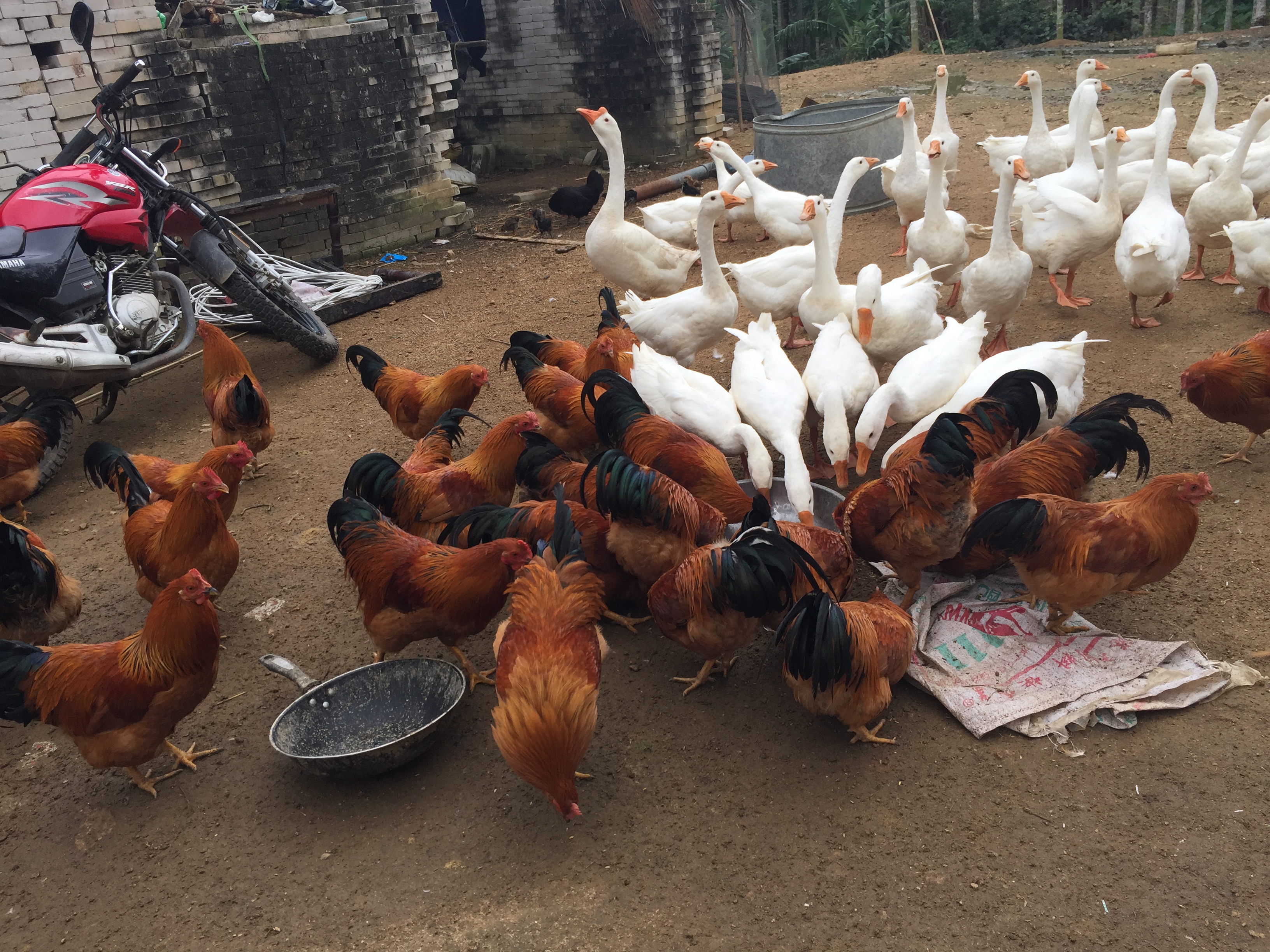 学院领导前往陵水亚欠村慰问帮扶户